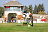 2025 - Haylee - Harvest Horse Show - Thursday, September 11th 00921
