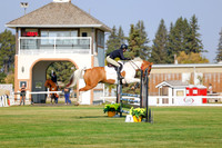 2025 - Haylee - Harvest Horse Show - Thursday, September 11th 00922