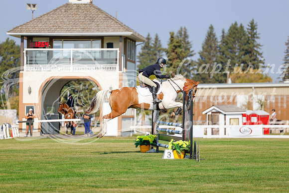 2025 - Haylee - Harvest Horse Show - Thursday, September 11th 00922