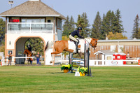 2025 - Haylee - Harvest Horse Show - Thursday, September 11th 00924