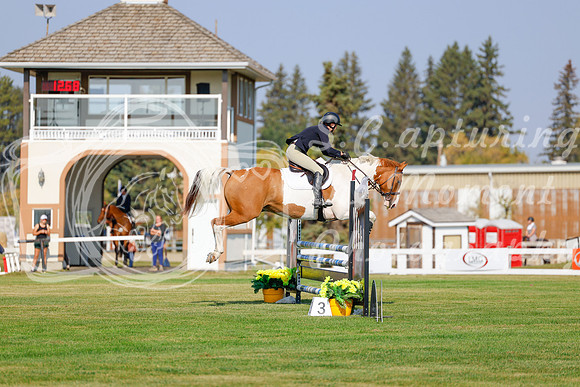 2025 - Haylee - Harvest Horse Show - Thursday, September 11th 00924
