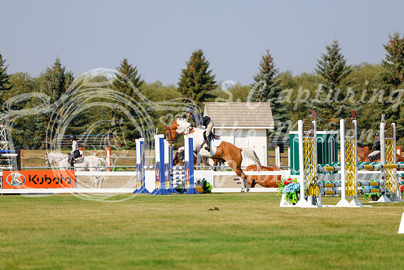 2025 - Haylee - Harvest Horse Show - Thursday, September 11th 00926