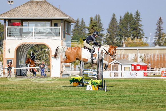 2025 - Haylee - Harvest Horse Show - Thursday, September 11th 00925