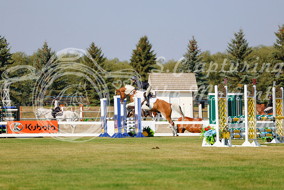 2025 - Haylee - Harvest Horse Show - Thursday, September 11th 00927