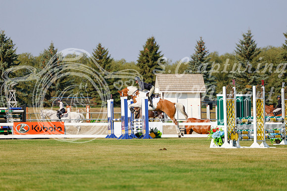 2025 - Haylee - Harvest Horse Show - Thursday, September 11th 00928