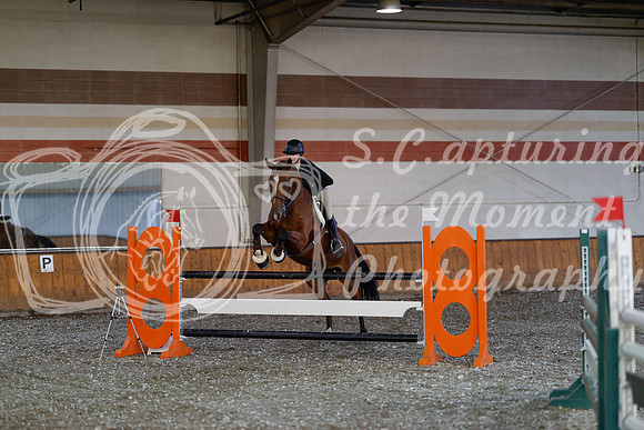 2025 - Haylee - Harvest Horse Show - Thursday, September 11th 03441