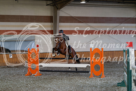 2025 - Haylee - Harvest Horse Show - Thursday, September 11th 03443