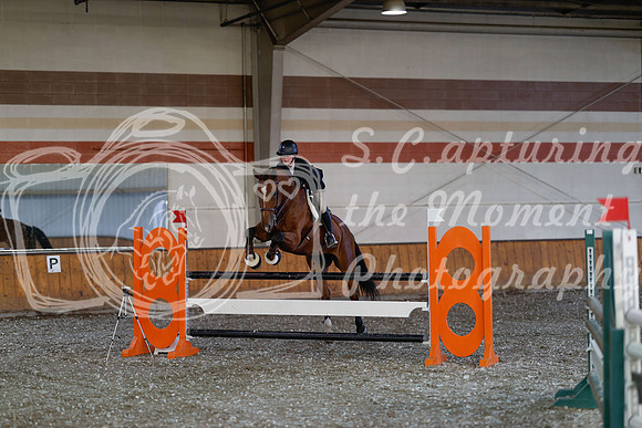 2025 - Haylee - Harvest Horse Show - Thursday, September 11th 03444