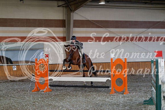 2025 - Haylee - Harvest Horse Show - Thursday, September 11th 03445