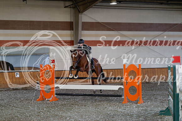 2025 - Haylee - Harvest Horse Show - Thursday, September 11th 03446