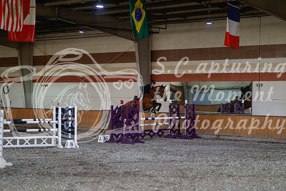 2025 - Haylee - Harvest Horse Show - Thursday, September 11th 03450