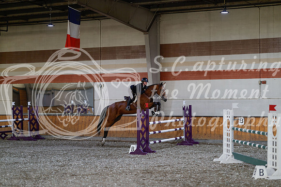 2025 - Haylee - Harvest Horse Show - Thursday, September 11th 03456