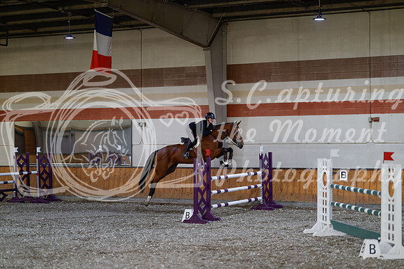2025 - Haylee - Harvest Horse Show - Thursday, September 11th 03457