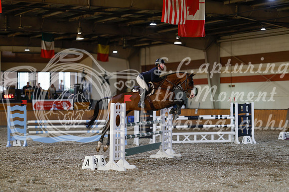 2025 - Haylee - Harvest Horse Show - Thursday, September 11th 03557