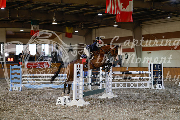 2025 - Haylee - Harvest Horse Show - Thursday, September 11th 03555