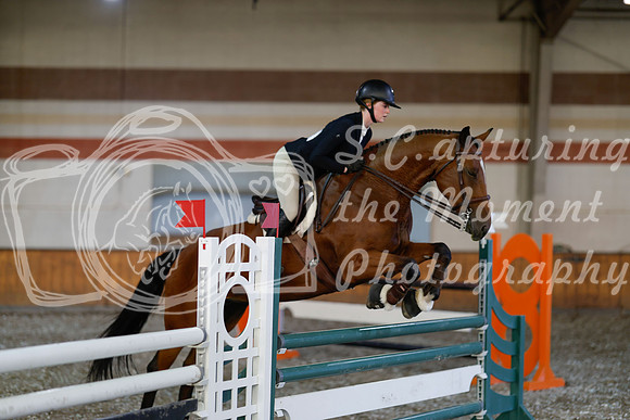 2025 - Haylee - Harvest Horse Show - Thursday, September 11th 03791