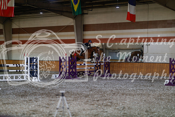 2025 - Haylee - Harvest Horse Show - Thursday, September 11th 03802