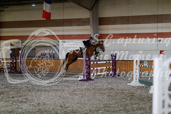 2025 - Haylee - Harvest Horse Show - Thursday, September 11th 03807