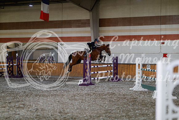 2025 - Haylee - Harvest Horse Show - Thursday, September 11th 03809