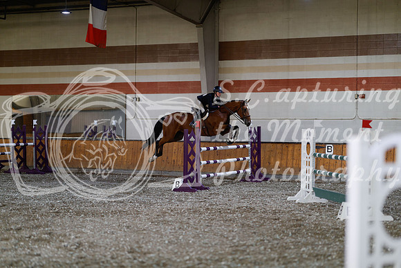 2025 - Haylee - Harvest Horse Show - Thursday, September 11th 03810