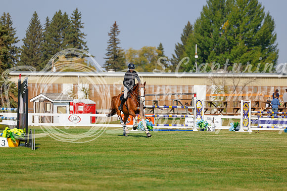 2025 - Haylee - Harvest Horse Show - Thursday, September 11th 01499