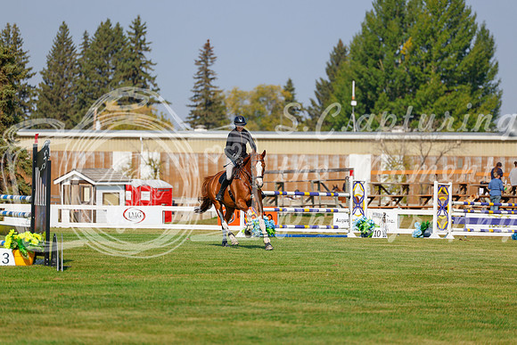 2025 - Haylee - Harvest Horse Show - Thursday, September 11th 01500