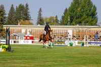 2025 - Haylee - Harvest Horse Show - Thursday, September 11th 01501
