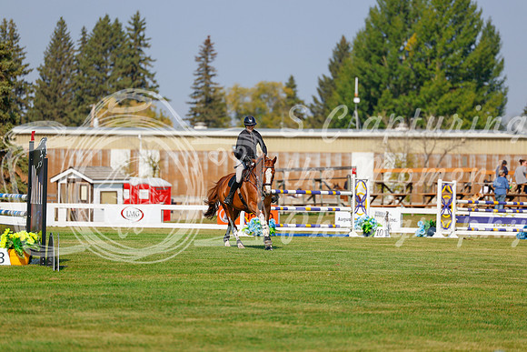 2025 - Haylee - Harvest Horse Show - Thursday, September 11th 01503