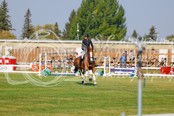 2025 - Haylee - Harvest Horse Show - Thursday, September 11th 01504