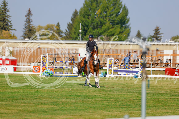 2025 - Haylee - Harvest Horse Show - Thursday, September 11th 01506