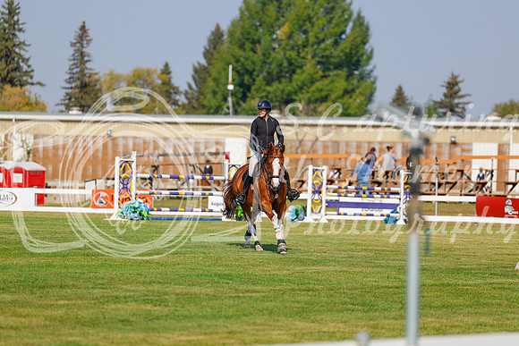 2025 - Haylee - Harvest Horse Show - Thursday, September 11th 01507