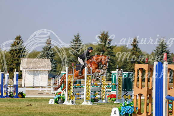 2025 - Haylee - Harvest Horse Show - Thursday, September 11th 01510