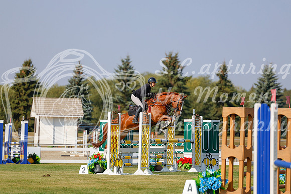 2025 - Haylee - Harvest Horse Show - Thursday, September 11th 01511
