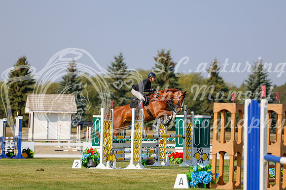 2025 - Haylee - Harvest Horse Show - Thursday, September 11th 01513