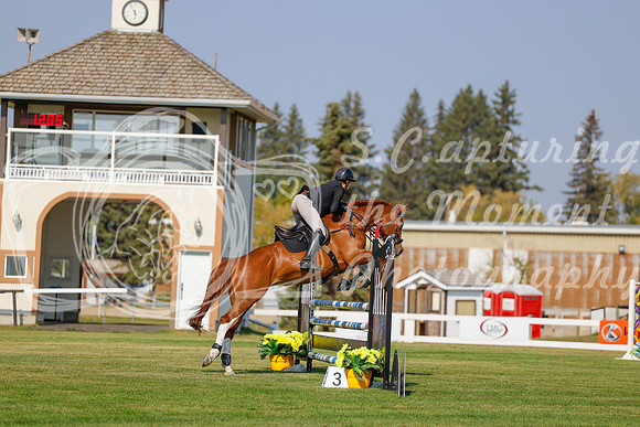 2025 - Haylee - Harvest Horse Show - Thursday, September 11th 01516