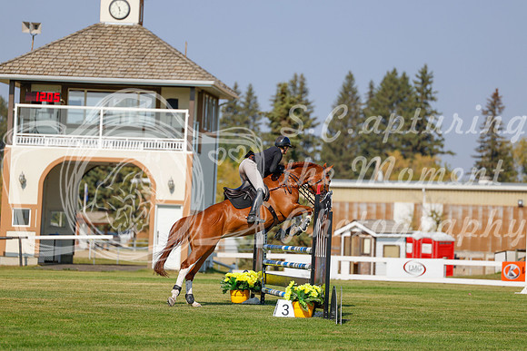 2025 - Haylee - Harvest Horse Show - Thursday, September 11th 01515