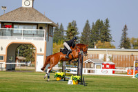 2025 - Haylee - Harvest Horse Show - Thursday, September 11th 01517