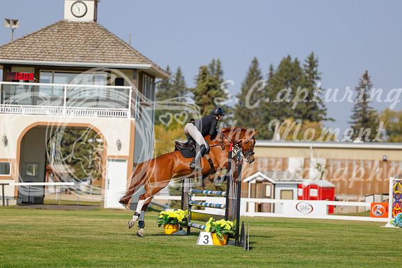 2025 - Haylee - Harvest Horse Show - Thursday, September 11th 01517