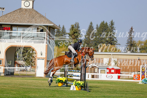 2025 - Haylee - Harvest Horse Show - Thursday, September 11th 01518