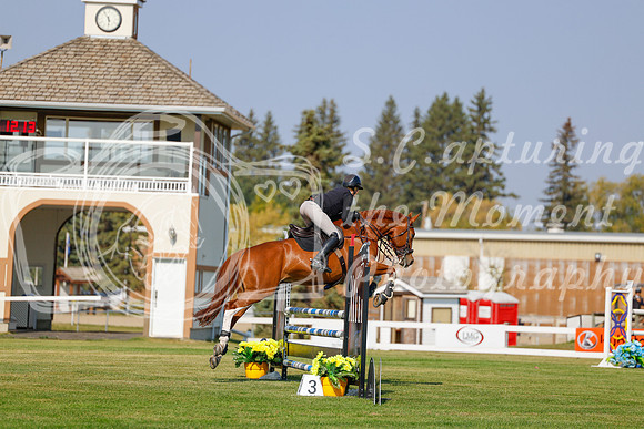 2025 - Haylee - Harvest Horse Show - Thursday, September 11th 01519