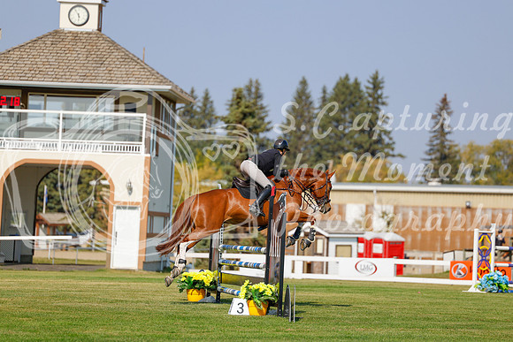 2025 - Haylee - Harvest Horse Show - Thursday, September 11th 01520