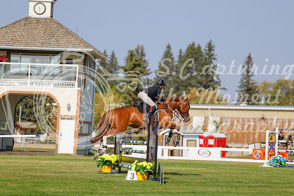 2025 - Haylee - Harvest Horse Show - Thursday, September 11th 01521