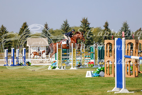 2025 - Haylee - Harvest Horse Show - Thursday, September 11th 01582