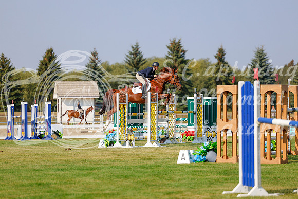 2025 - Haylee - Harvest Horse Show - Thursday, September 11th 01583