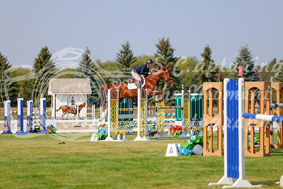2025 - Haylee - Harvest Horse Show - Thursday, September 11th 01584