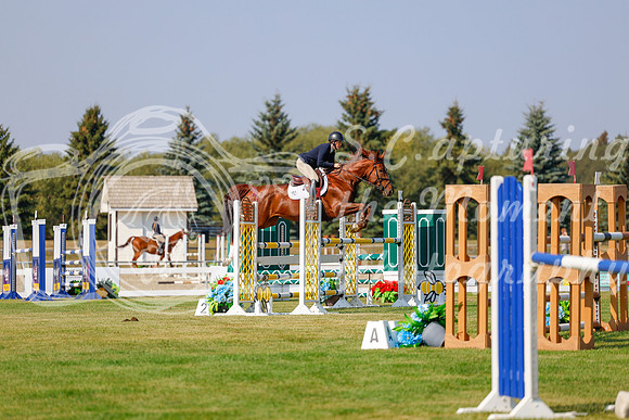 2025 - Haylee - Harvest Horse Show - Thursday, September 11th 01585