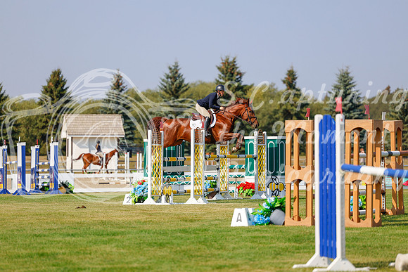 2025 - Haylee - Harvest Horse Show - Thursday, September 11th 01586