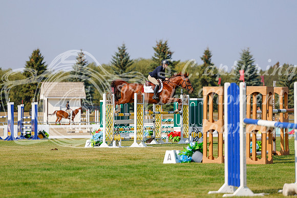 2025 - Haylee - Harvest Horse Show - Thursday, September 11th 01588