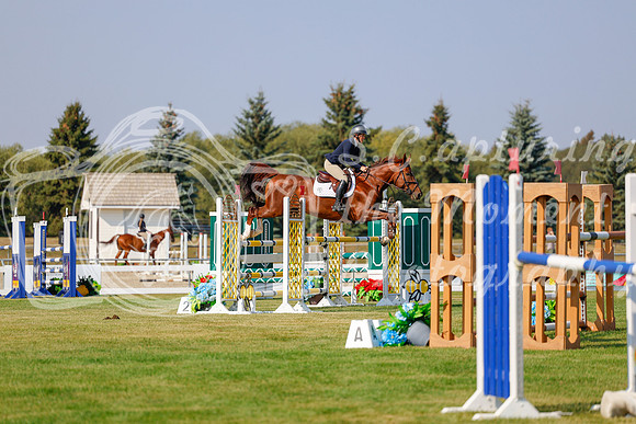 2025 - Haylee - Harvest Horse Show - Thursday, September 11th 01589