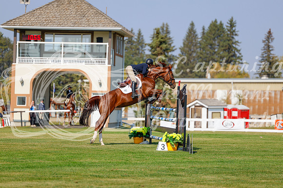 2025 - Haylee - Harvest Horse Show - Thursday, September 11th 01590